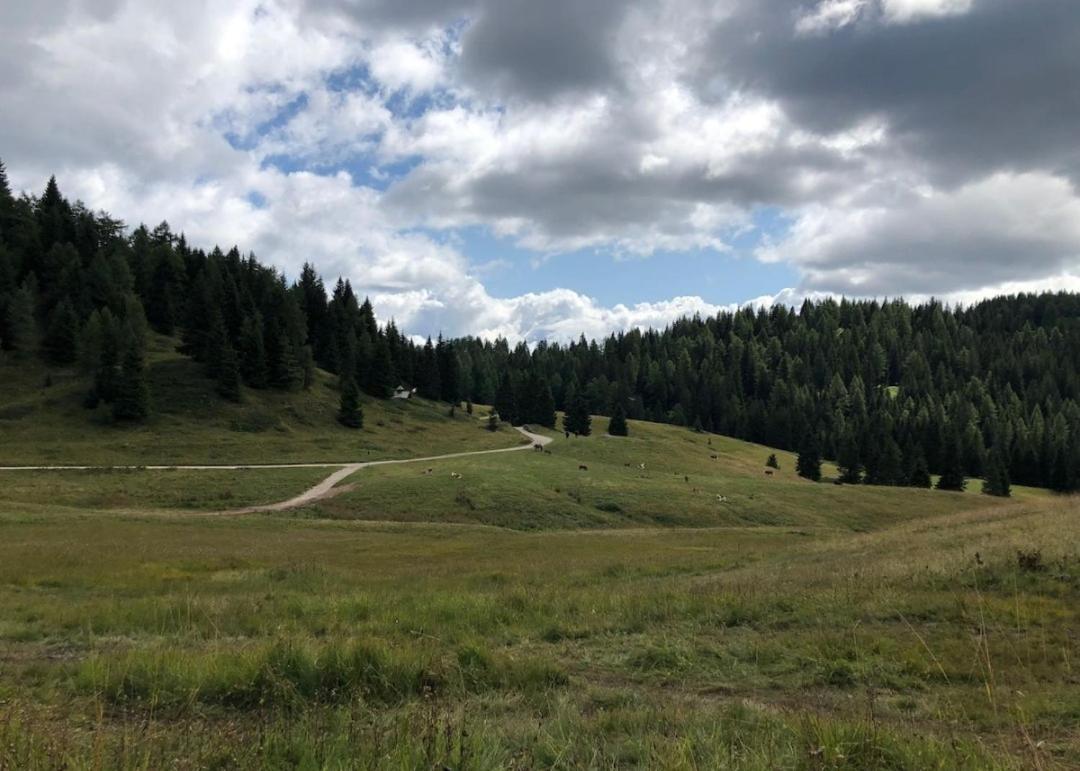 Appartamento Cologna Castelfondo Luaran gambar