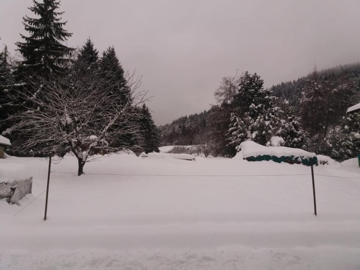 Appartamento Cologna Castelfondo Luaran gambar